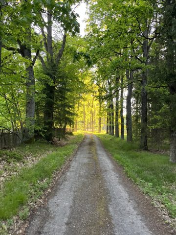 Penzion Černická obora – Fotogalerie z Penzionu Černická obora