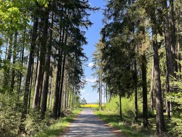 penzion_cernicka_obora_11