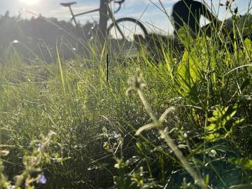 penzion_cernicka_obora_12