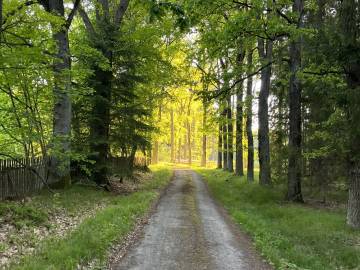 penzion_cernicka_obora_14